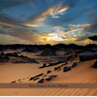 Two Voices In The Desert by Perry Robinson