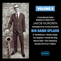 Big Band Splash: Volume 5