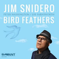 Bird Feathers by Jim Snidero