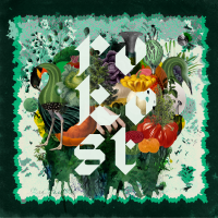 Hamburg-Based Band Rokost Releases Debut Album