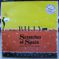 Scratches Of Spain by Billy Jenkins