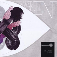 Awaken by Charles Lane