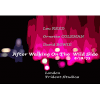 Lou Reed: After Walking On The Wild Side 8/18/72