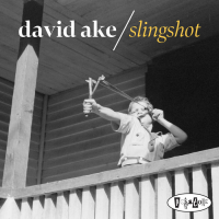 Slingshot by David Ake