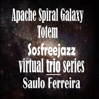 Apache Spiral Galaxy Totem by Saulo Ferreira