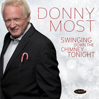 Swinging Down The Chimney Tonight by Donny Most