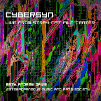 Cybersyn: Live From the Stray Cat Film Center by Seth Andrew Davis
