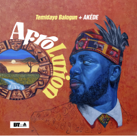 Afrolution by Temidayo Balogun