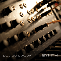 SYNTH by Pat Strawser