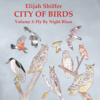 City Of Birds, Volume 3: Fly By Night Blues by Elijah Shiffer