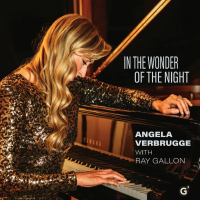 In The Wonder of the Night by Angela Verbrugge