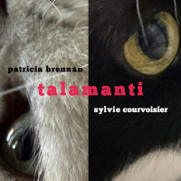 Read "Patricia Brennan And Sylvie Courvoisier, Ambrose Akinmusire And Mary Halvorson, Mick Goodrick And Fred Hersch: Playing Doubles" reviewed by Doug Collette