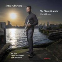 The Flame Beneath the Silence by Dave Adewumi