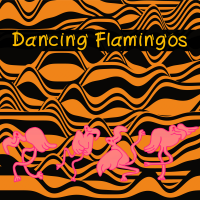 Dancing flamingos by Jacob Munk Nielsen