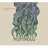 Numinous by Grant D Richards