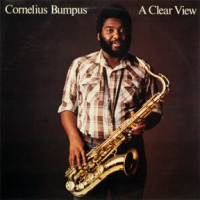 &quot;Cornelius Bumpus - A Clear View&quot; by Paul Nagel