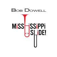 Mississippi Slide! by Bob Dowell