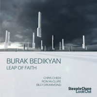 Burak Bedikyan: Leap of Faith