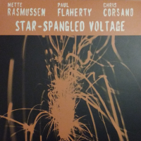 Mette Rasmussen/Paul Flaherty/Chris Corsano: Star-Spangled Voltage