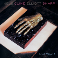 Duo Milano by Nels Cline