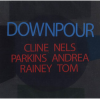 Downpour by Nels Cline