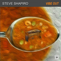 Vibe Out by Steve Shapiro