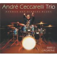 Avenue Des Diables Blues by Bireli Lagrene