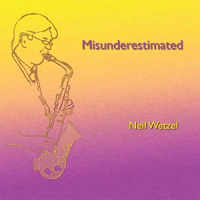 Misunderestimated by Neil Wetzel