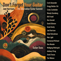 Don't Forget Your Guitar by Joel Harrison