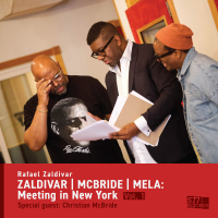 ZALDIVAR | MCBRIDE | MELA: Meeting in New York, Volume one. Special... by Rafael Zaldivar