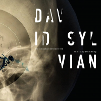 The Distance Between the Killer and the Killing by David Sylvian