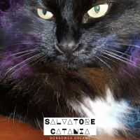 Borrowed Dreams by Salvatore Catania