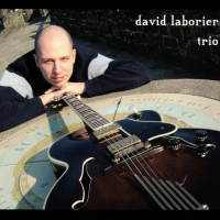 Read "David Laborier Trio" reviewed by Franz A. Matzner