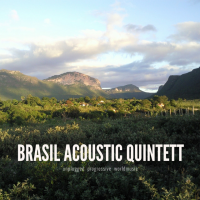 Brasil Acoustic Quintett by Richard Ebert