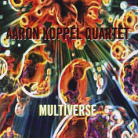 Aaron Koppel: Multiverse