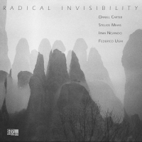 Radical Invisibilty by Daniel Carter