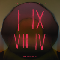 The Forward Process by Kobe Van Cauwenberghe