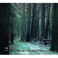 Anna Piosik: In the Absence of Gods