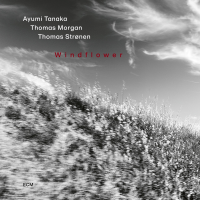 Windflower by Ayumi Tanaka, Thomas Morgan, Thomas Str&oslash;nen