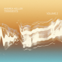 Transients Volume 2 by Andrea Keller