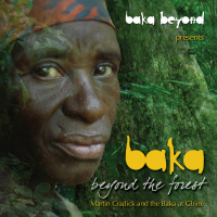 Beyond the Forest by Baka Beyond