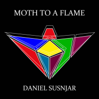 Moth To A Flame by Daniel Susnjar