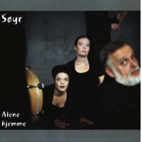 Allene hjemme by Soyr