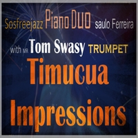 Timucua Impressions by Saulo Ferreira