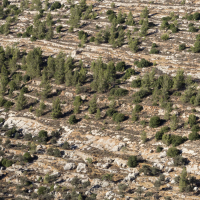 Cremisan: Prologue To A Blade by Alabaster DePlume