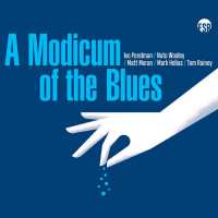 A Modicum Of Blues by Ivo Perelman