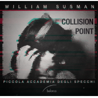 Collision Point by William Susman