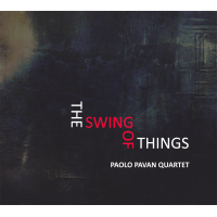 The Swing of Things by Paolo Pavan