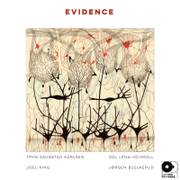 Evidence by EVIDENCE