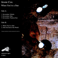 When You&#039;re a Star by Jessie Cox